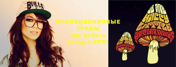 дживик Зеленодольск