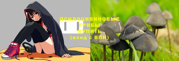 дживик Зеленодольск