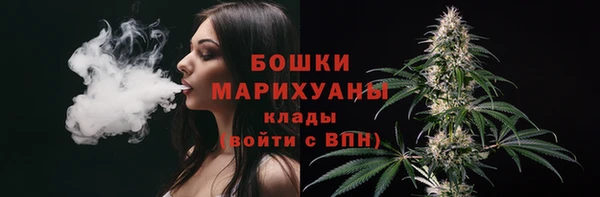 молекула духа Зеленокумск