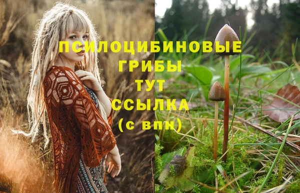 молекула духа Зеленокумск