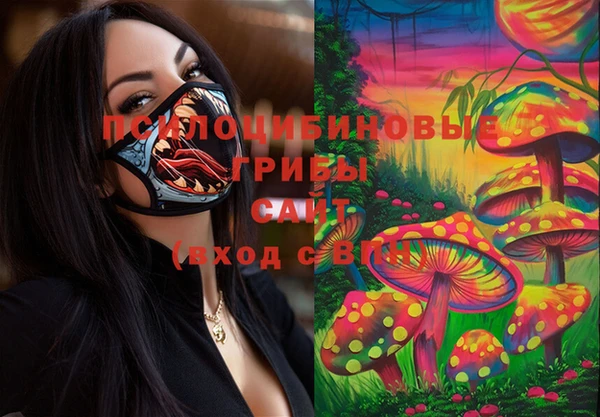 дживик Зеленодольск