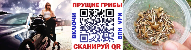 Псилоцибиновые грибы MAGIC MUSHROOMS blacksprut ссылка Сибай