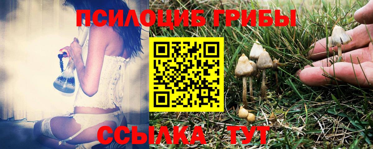 Кокаин Сибай