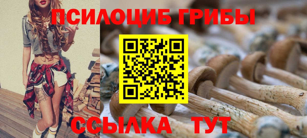 Галлюциногенные грибы Psilocybine cubensis Сибай