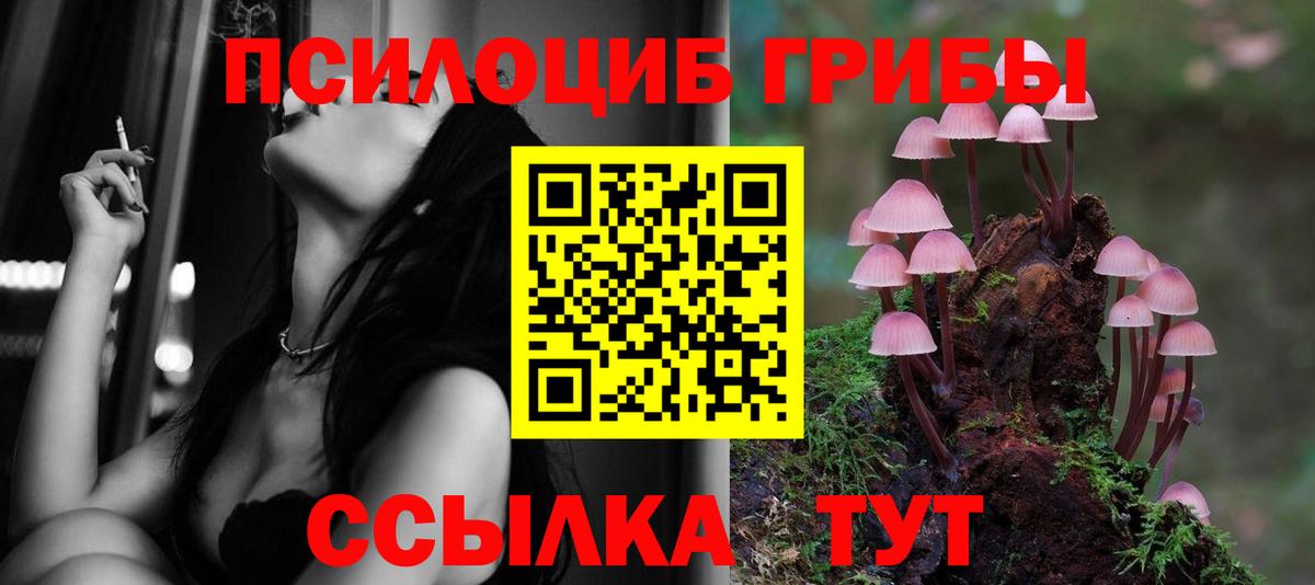 Псилоцибиновые грибы прущие грибы Сибай