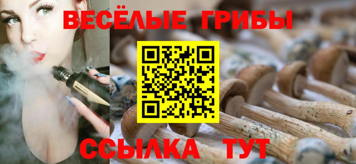 Псилоцибиновые грибы MAGIC MUSHROOMS  что такое наркотик  Сибай 